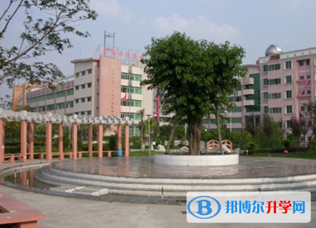 2025四川省旺蒼縣普濟(jì)中學(xué)招生計(jì)劃 招生人數(shù)是多少(附要求、條件、對(duì)象)