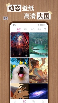 悟空體育官方網站入口截圖